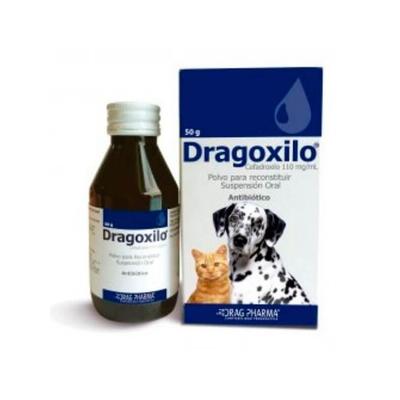 [905370] DRAGOXILO POLVO SUSPENSION ORAL 110 MG/ML X 50 GR (CEFADROXILO) (VET)***