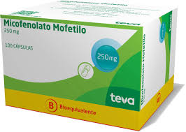 MICOFENOLATO MOFETILO 250 MG X 100 CAP