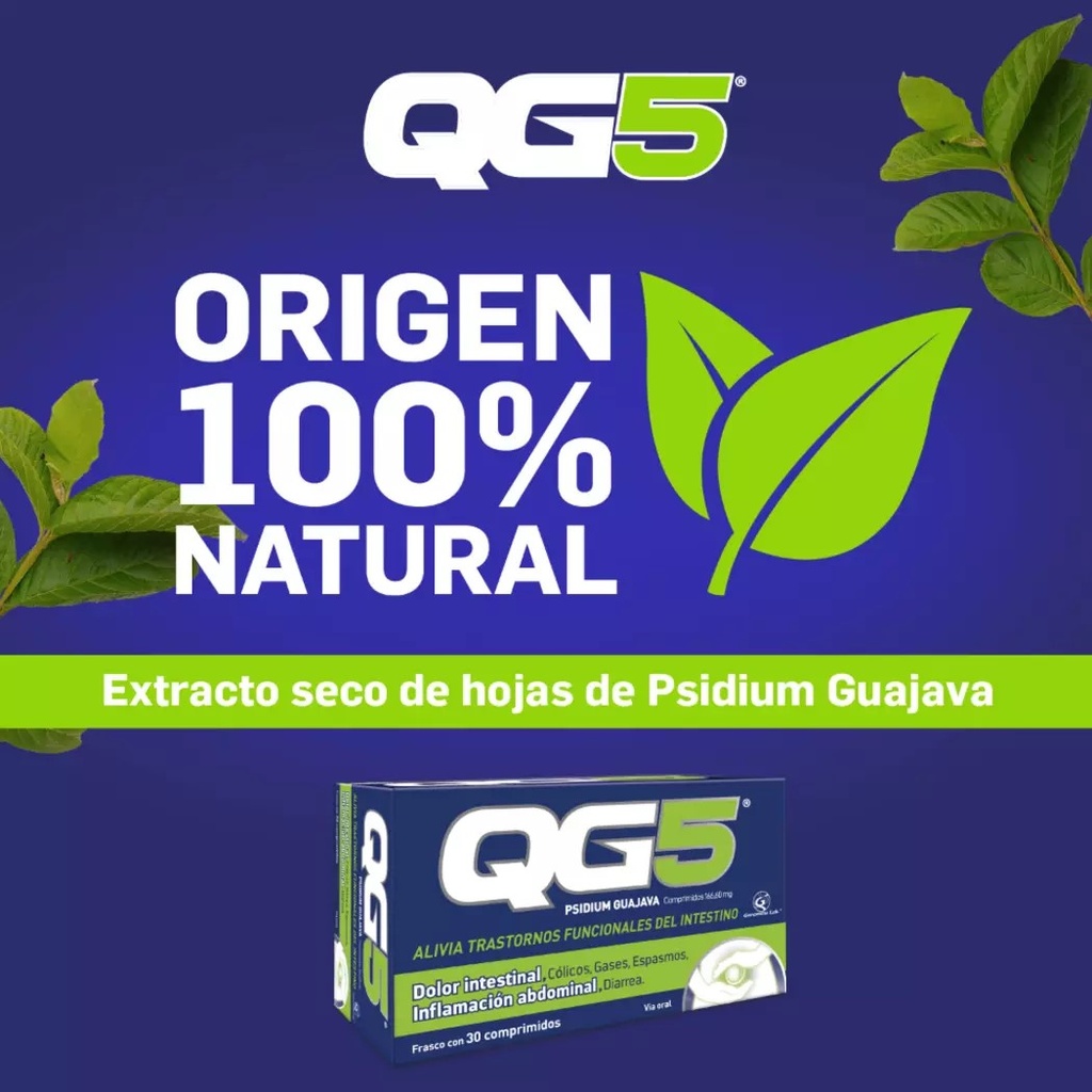 QG5 X 30 COMP (PSIDIUM GUAJAVA) | Farmazon-Farmacia On Line Líder en Chile