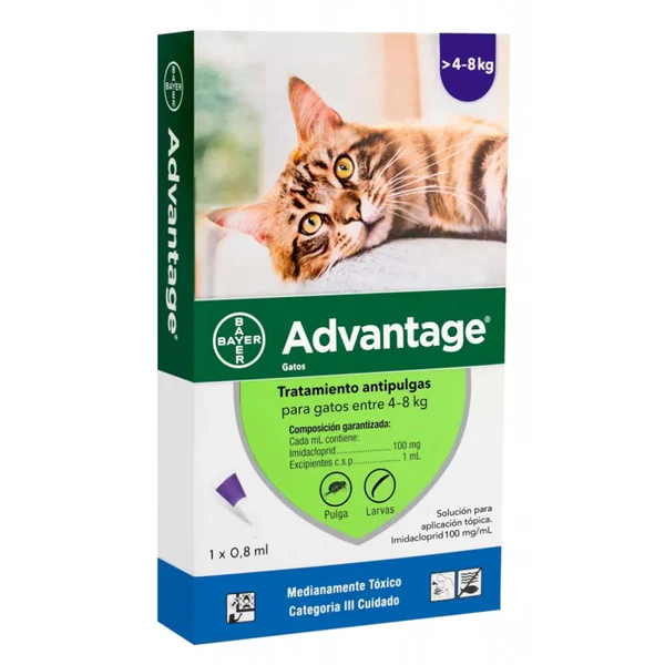 ADVANTAGE PIPETA GATO DE 4,0 A 8,0 KG 100 MG/ML X 0,8 ML(IMIDACLOPRID)(VET)