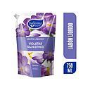 BALLERINA JABON DOYPACK VIOLETAS SILVESTRES X 750 ML