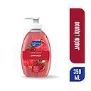 BALLERINA JABON FRASCO DISP GRANADA X 350 ML***