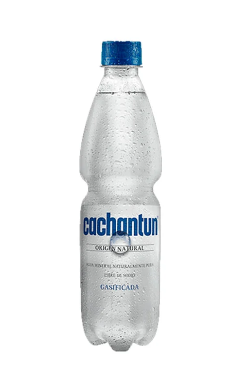 CCU CACHANTUN C/GAS 600 ML
