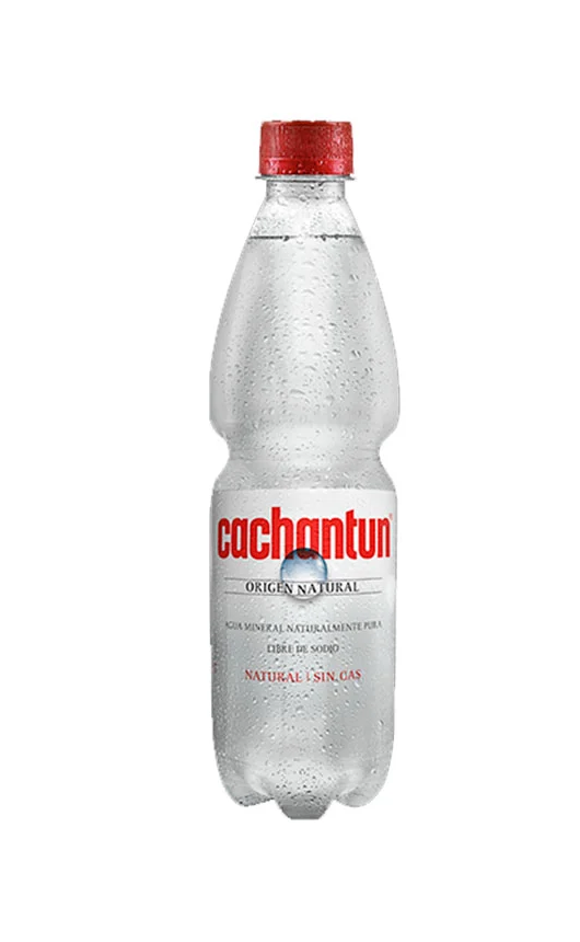 CCU CACHANTUN S/GAS 600 ML