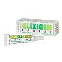 DEMEX MEDICAL CATALYSIS GLIZIGEN PROTECTOR LABIAL X 5 ML