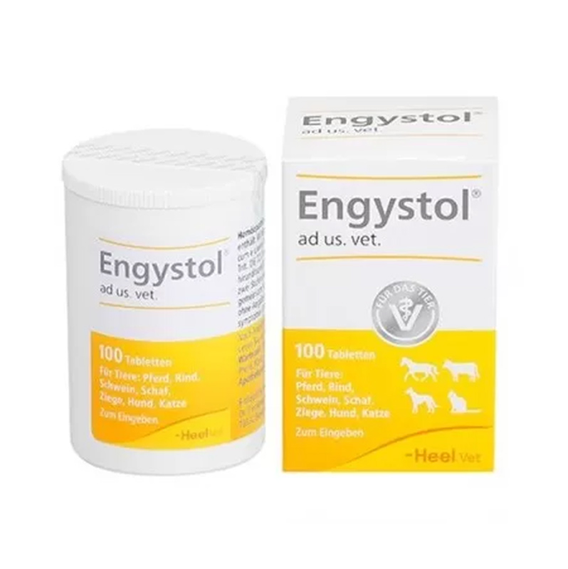HEELVET ENGYSTOL X 100 COMP (VET)***