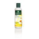 HERBATINT SHAMPOO MANZANILLA X 260 ML