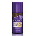 KOLESTON SPRAY RETOQUE RAIZ CASTAÑO 100 ML