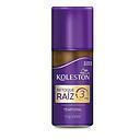 KOLESTON SPRAY RETOQUE RAIZ RUBIO MEDIO 100 ML