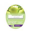 LIP ICE BALSAMO LABIAL SPF 15 MANZANA X 3,5 G