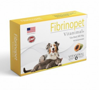 FIBRINOPET X 10 COMP (PAPAINA) (VET)