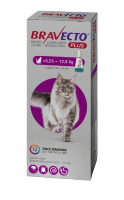 BRAVECTO PLUS GATO PIPETA 6,25 a 12,5 KG (FLURALANER / MOXIDECTRINA) (VET)