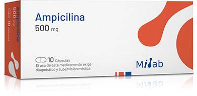 [901112] AMPICILINA 500 MG MINTLAB X 10 CAPS (GENER)
