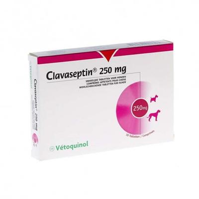 [3605874594494] CLAVASEPTIN 250 MG X 10 COMPRIMIDOS (AMOXICILINA/ACIDO CLAVULANICO) (VET)