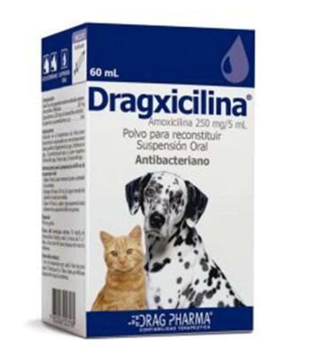 [903726] DRAGXICILINA JARABE ORAL 250 MG/5 ML X 60 ML (AMOXICILINA) (VET)***