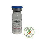 [1662150481567] FRACCIONAMIENTO CEFAZOLINA 1 G POLVO BIOSANO X 1  FRASCO AMPOLLA